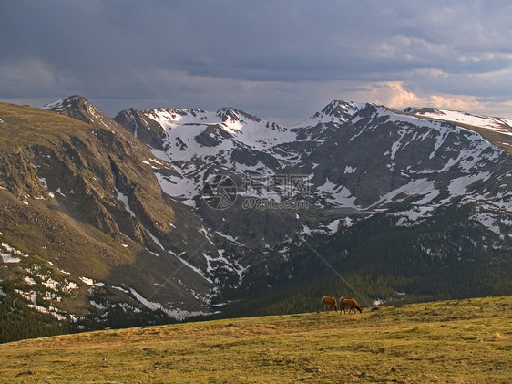 阿尔卑斯山多云高山顶峰麋鹿岩石荒野田园冰川山峰山脉图片