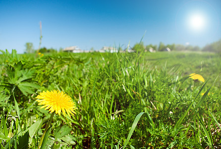 茂密的草地戏剧性多云绿色天空地平线蓝色风景场地牧场图片