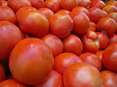 番茄蔬菜食物西红柿市场水果生产农业团体图片