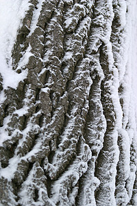 下雪时倾斜图片