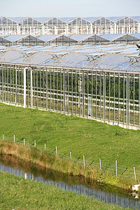 玻璃房植物栽培农田玻璃农村国家蔬菜园艺食物农业图片