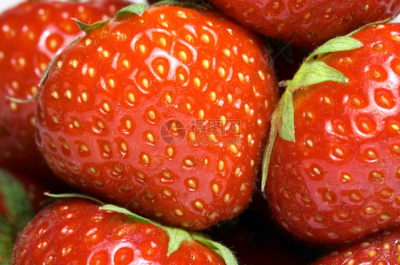草莓背景果汁植物团体养分甜点水果食物早餐种子弹簧图片