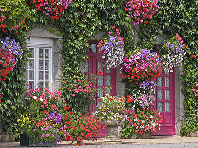 莱上德拉兰德 有花的房屋 布列塔尼红色帝国细节粉色红门腐烂花朵图片