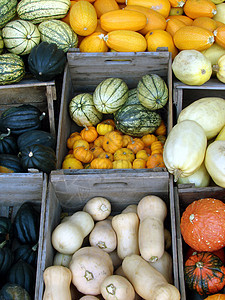 南瓜木头蔬菜花朵水果南瓜市场橙子收成农村食物图片