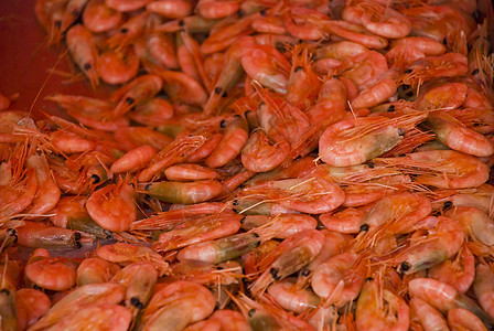 虾食物贝类尾巴橙子海鲜图片