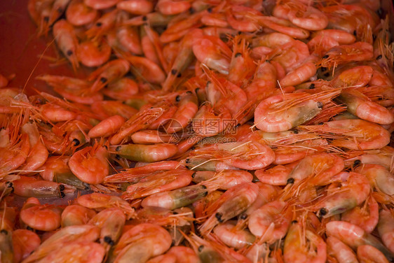 虾食物贝类尾巴橙子海鲜图片