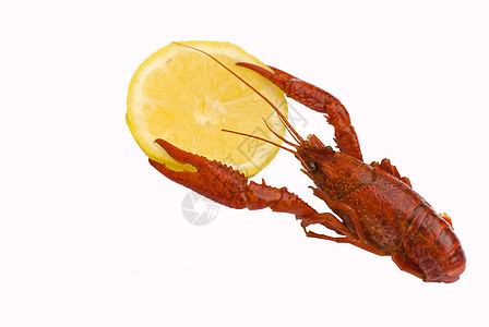 白上与柠檬隔离的鳄鱼维生素天线触角食物小龙虾白色美味水果海鲜黄色图片