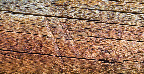 木纹理背景背景日志黄色树桩木材木头树木森林纤维树干林业图片
