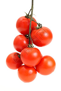番茄类农业活力果汁红色饮食收获蔬菜团体花园沙拉背景图片