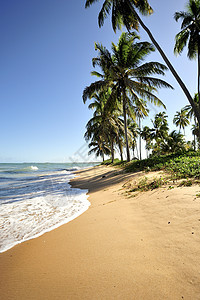 天堂海滩海岸线气候闲暇热带目的地情调蓝色海浪天空风景图片