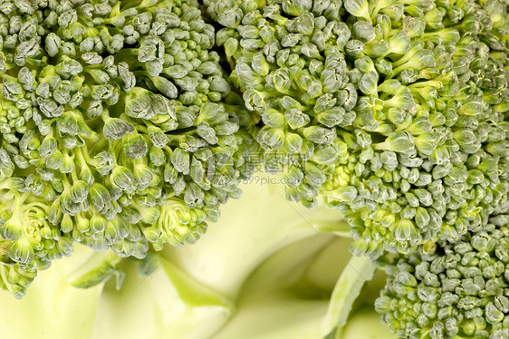 花椰菜背景芸苔绿色食物营养饮食植物蔬菜图片