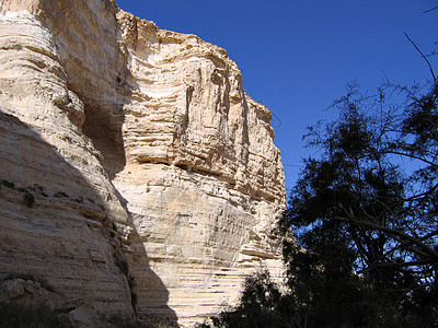 以色列内盖夫沙漠岩石形成绿洲图片