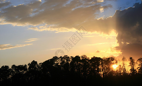 黄金日落天空自由橙子旅行阳光树木场景黄色太阳图片