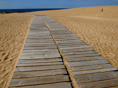 小路假期沙丘自由海滩沙漠孤独精神生活印刷海滨图片