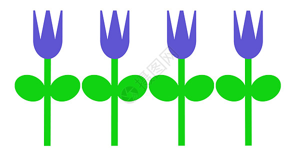 紫春郁金香植物插图郁金香背景图片