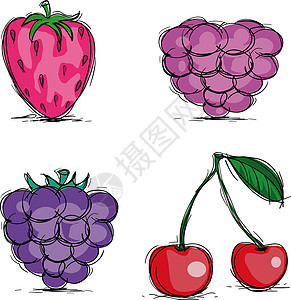 白莓图标图片
