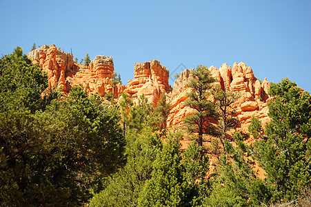 红岩石森林爬坡松树绿色天空蓝色红色图片