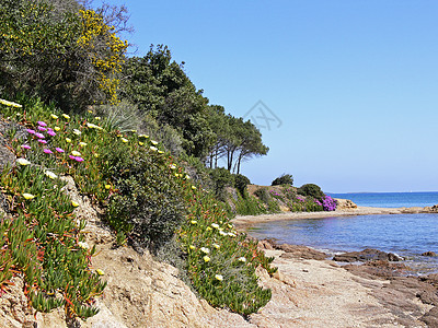 卡尼吉内 戈尔福迪阿尔扎切纳 撒丁岛海洋风景沙滩孤独景观地貌海滩海岸意大利人地景图片