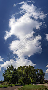 天空 云和树图片