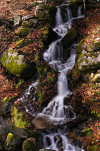水瀑瀑布峡谷流动飞溅绿色花边铁棒薄雾苔藓溪流图片