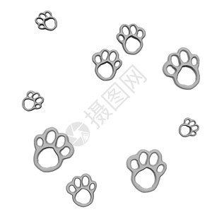 Paws 爪插图宠物小狗动物猫科背景图片