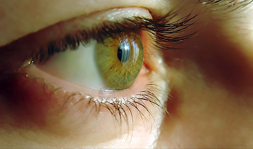 眼 目眼孔宏观棕色眼皮监视瞳孔眼球男人光学苏醒图片