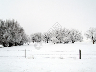 冬季外地栅栏白色树木雪堆季节乡村图片