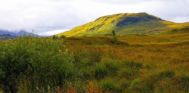 秋色植被覆盖着多彩的山地风景图片