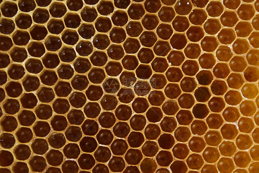 蜂蜜黄色昆虫食物蜜蜂花蜜健康蜂巢药品图片