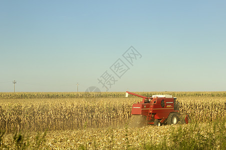 收获时间农业小麦粮食乡村收成农田场地机器机械农场图片