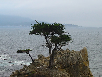 17英里驱动车海岸线瀑布海洋丛林旅行悬崖顶峰公园岩石移民图片