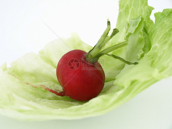 健康生活工作室萝卜红色绿色营养叶子蔬菜饮食白色图片