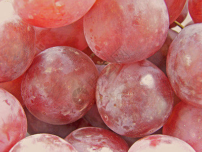 红葡萄营养甜点果汁藤蔓水果浆果美食红色宏观收成图片