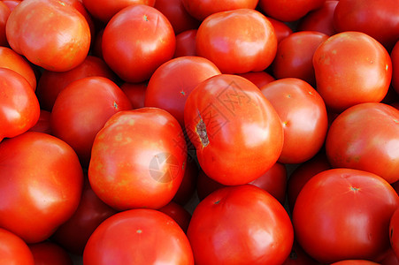 红番茄食物红色生产市场收成蔬菜图片