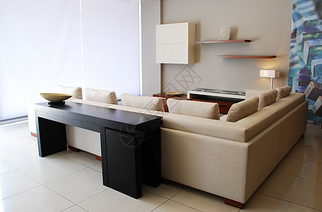 配备现代家具的起居室奢华地面扶手椅房子地毯休息设备建筑学桌子反射图片