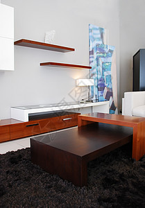 配备现代家具的起居室房子枕头建筑学地毯软垫桌子反射休息地面奢华图片
