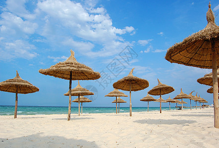 苏斯市海滩情调享受日光浴躺椅旅游假期阳伞天空乐趣海滨图片