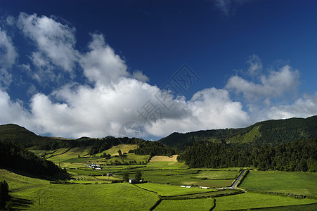 陆地晴天风景地平线草地植物群天空地面场景环境牧场图片