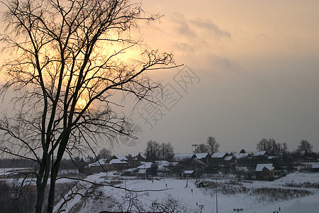 孤独的树村庄冻结太阳狂风分支机构季节树叶雪景小路树木图片