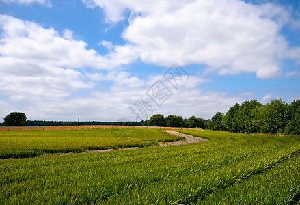 绿绿色农耕农田植物场景农村蓝色风景乡村环境国家草地牧场图片