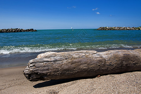 沙滩上漂流木天空木头日志地平线热带海岸海洋冲浪浮木爬坡图片