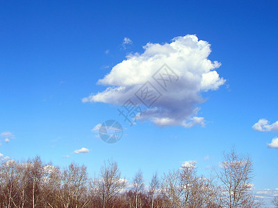 蓝蓝天空天蓝色乐趣天堂白色太阳墙纸射线层云蓝色网络图片