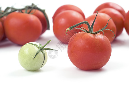 番茄水果食物玻璃绿色背景图片