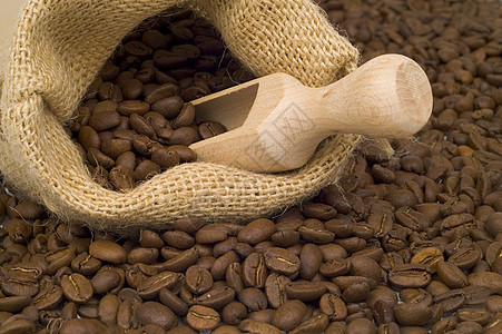 咖啡白色宏观芳香粮食布朗摩卡豆子图片