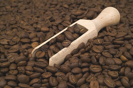咖啡芳香豆子摩卡粮食布朗白色宏观图片