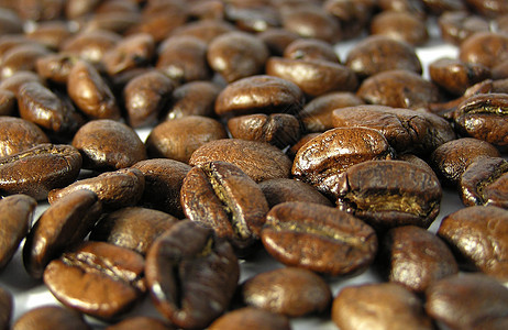 咖啡摩卡芳香白色豆子宏观粮食图片