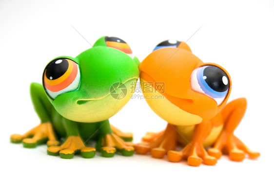 两个青蛙玩具眼睛好奇心白色橙子绿色塑料爬行动物爬虫图片