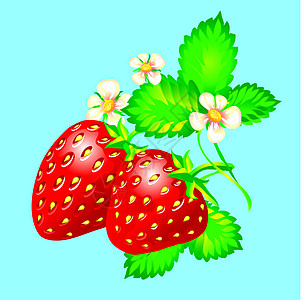 草莓维生素浆果水果叶子红色插图绿色树叶图片