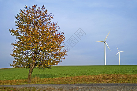 树和两座风力发电厂图片