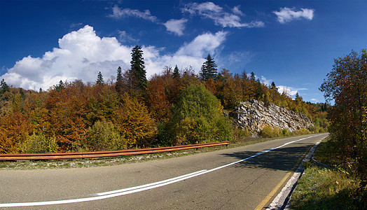 空道路树木环境蓝色森林石头天空车道图片